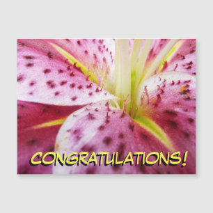 Stargazer Lily Bright Magenta Floral