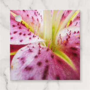 Stargazer Lily Bright Magenta Floral Favour Tags
