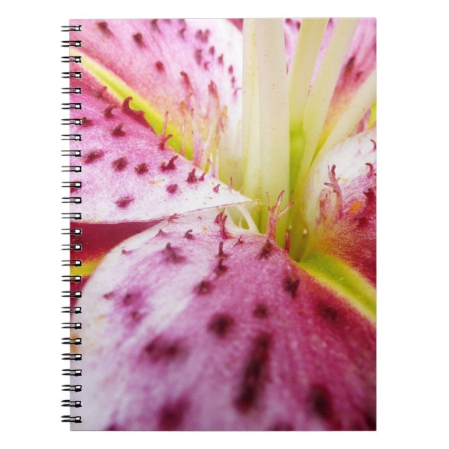 Stargazer Lily Bright Magenta Floral Notebook (Front)