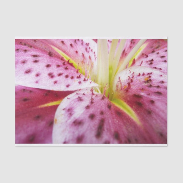 Stargazer Lily Bright Magenta Floral Tissue Paper (Front)