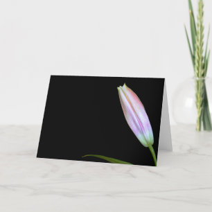 Stargazer Lily Bud Card
