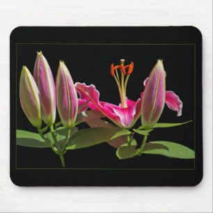 Stargazer Lily Buds and Bloom Mouse Mat