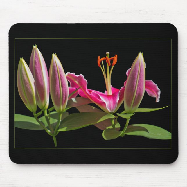 Stargazer Lily Buds and Bloom Mouse Mat (Front)