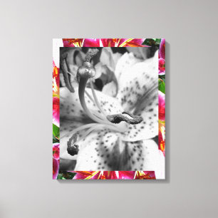 Stargazer Lily Canvas Print