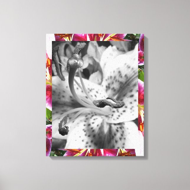 Stargazer Lily Canvas Print (Front)