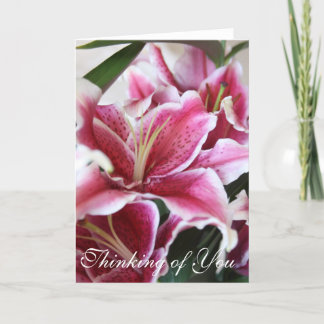 Stargazer Lily Card