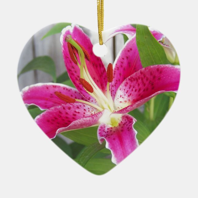 Stargazer Lily Ceramic Tree Decoration (Front)