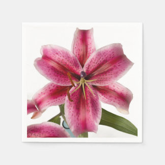 Stargazer Lily Cocktail Napkin