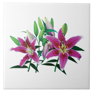 Stargazer Lily Family Tile