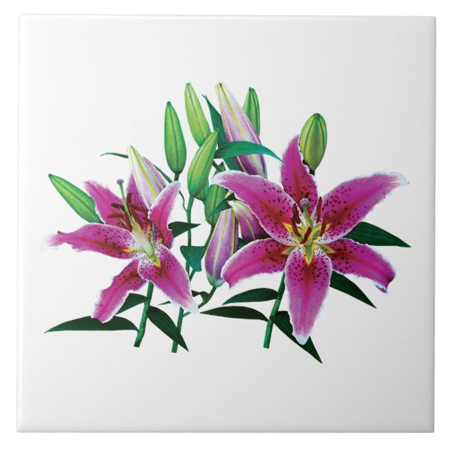 Stargazer Lily Family Tile (Front)