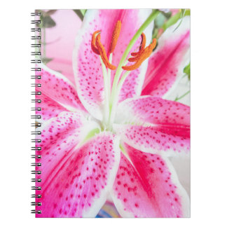 Stargazer Lily Flower Notebook