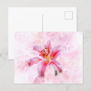 Stargazer Lily flower watercolor - wb 01 Postcard