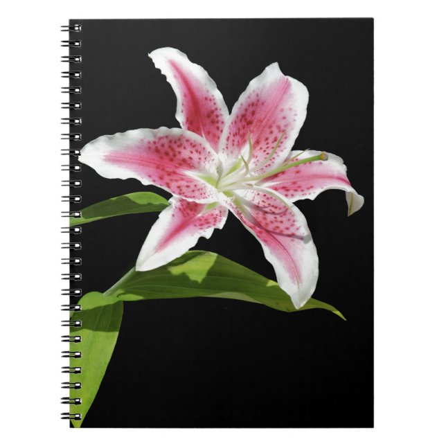 Stargazer Lily Notebook (Front)