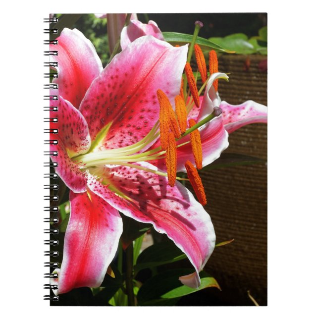 Stargazer Lily Photograph Notebook (Front)