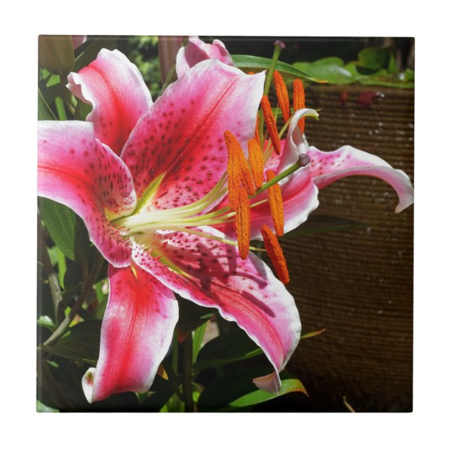 Stargazer Lily Photograph Tile (Front)
