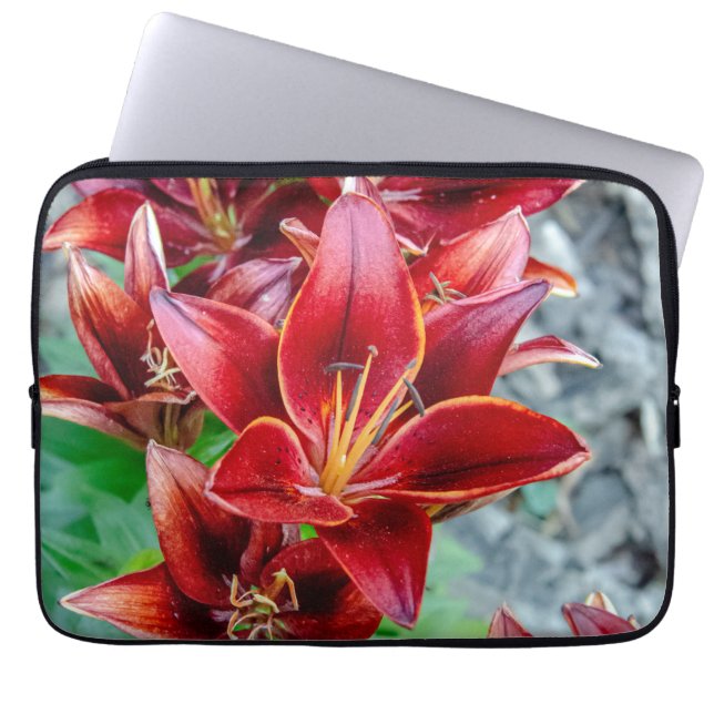 Stargazer Lily, Red Flower Photography Laptop Sleeve (Front)