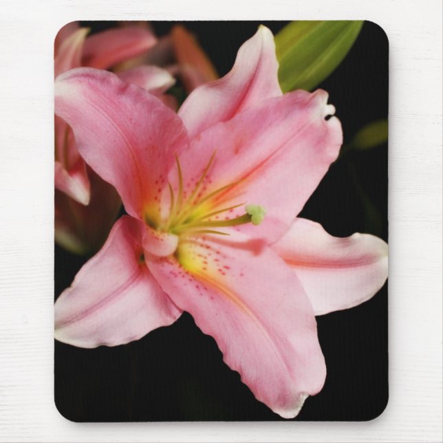 'Stargazer' Mousepads (Front)