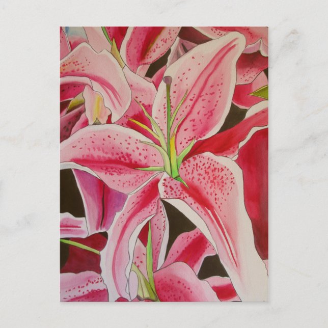 Stargazer Pink Lily watercolor original art flower Postcard (Front)