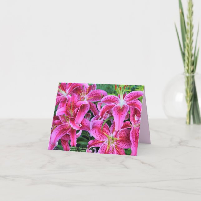 Stargazer Pink Oriental Lilies Note Cards (Front)