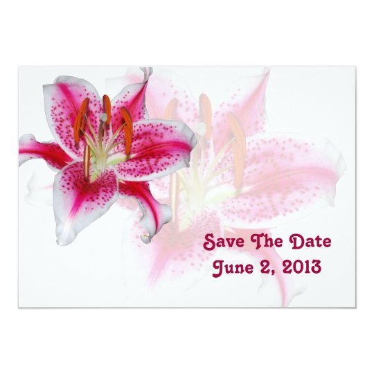Stargazer Silhouette Save The Date Card