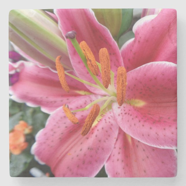 Stargazer Stone Coaster (Front)