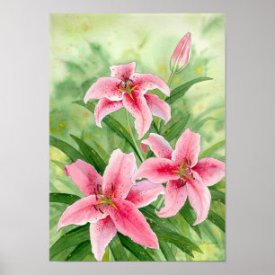 stargazerlilies print