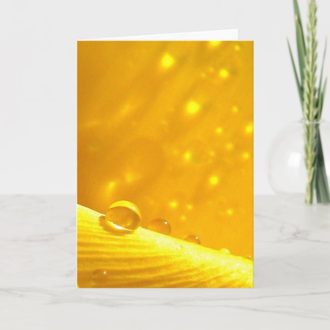 Stargazing Dew Drops, Stories in Nature Poetry Card (Front)