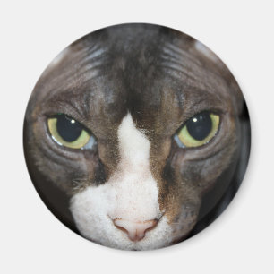 Staring at You Magnet