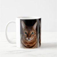 Staring Bengal Cat Photo Mug, Add Your Own Meme