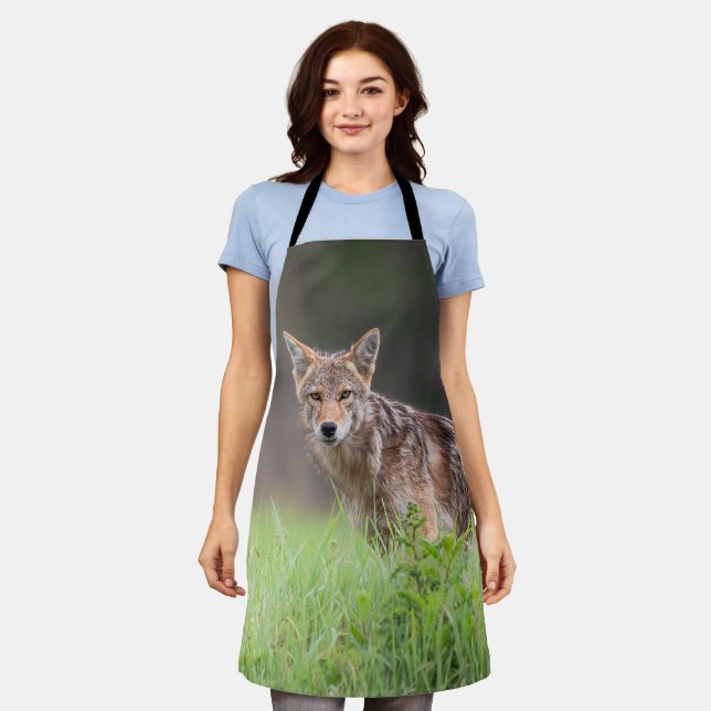 Staring Brown Coyote, On a Field Apron (Worn)