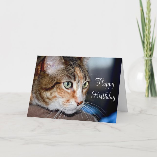 Staring cat birthday greeting card (Front)