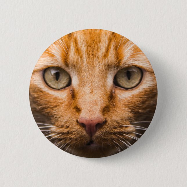 Staring Cat buttons (Front)