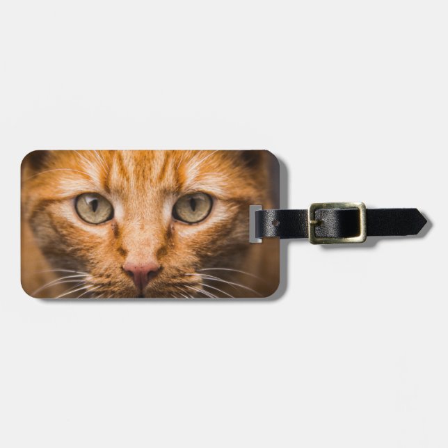 Staring Cat custom luggage tag (Front Horizontal)