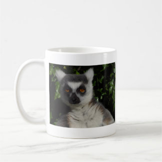 Staring Lemur Coffee Mug
