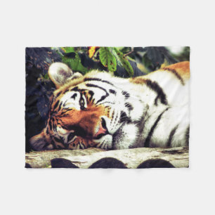 Staring Tiger Fleece Blanket