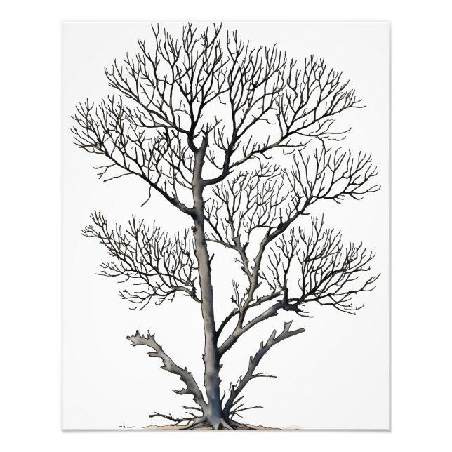 Stark Beauty: Black and White Tree Wall Art (Front)