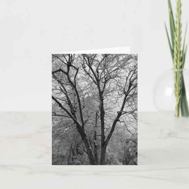 Stark Snow Outlines Note Card (Front)