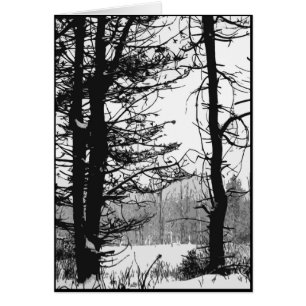 Stark Winter Day