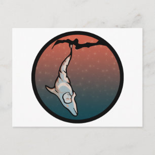 starlight dolphin cocoon postcard