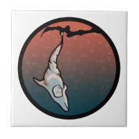 starlight dolphin cocoon