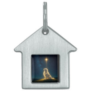 Starlight Pet ID Tag