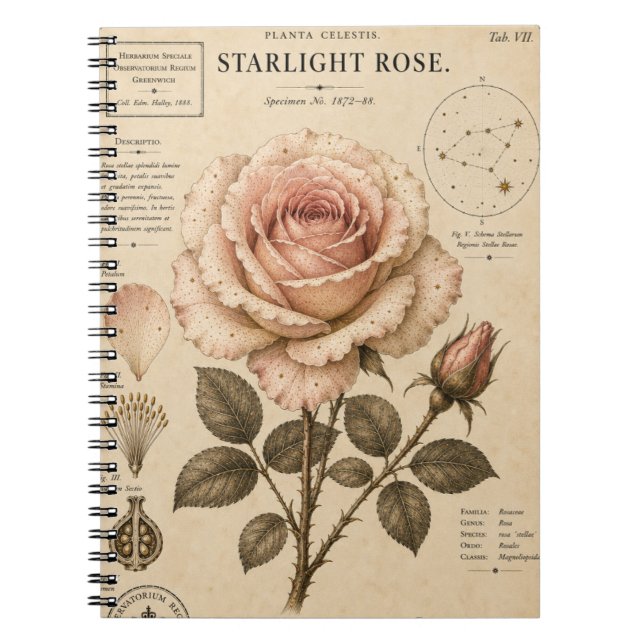 Starlight Rose Victorian Botanical Museum Print Notebook (Front)