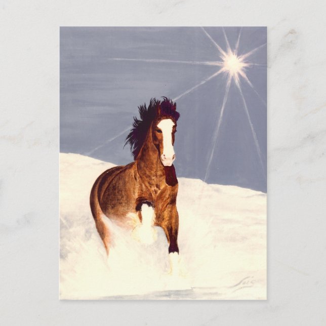 Starlight Run Postcard (Front)