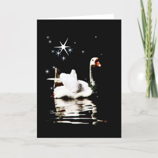 Starlight Swan  Holiday Card