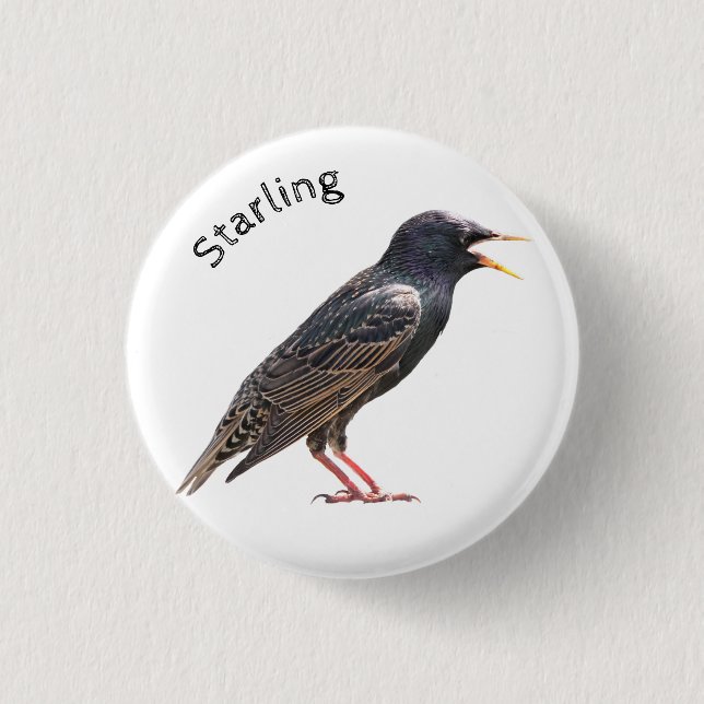 Starling 3 Cm Round Badge (Front)