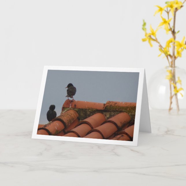 Starling Birds on Rooftop Card (Yellow Flower)