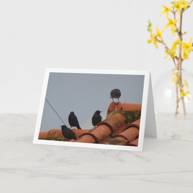 Starling Birds on Rooftop Card (Yellow Flower)