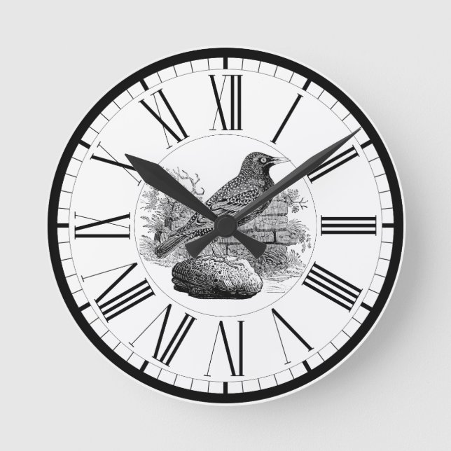 Starling British Bird Illustration Round Clock (Front)
