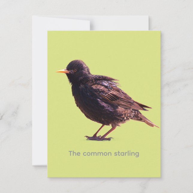 Starling  card (Front)