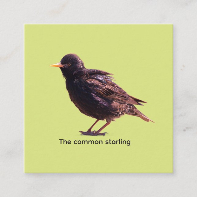 Starling  enclosure card (Front)